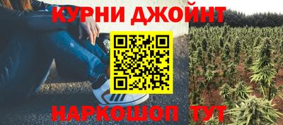 твердый Новозыбков