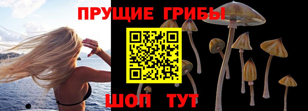 Сызрань  Псилоцибиновые грибы мицелий  Вход с VPN 