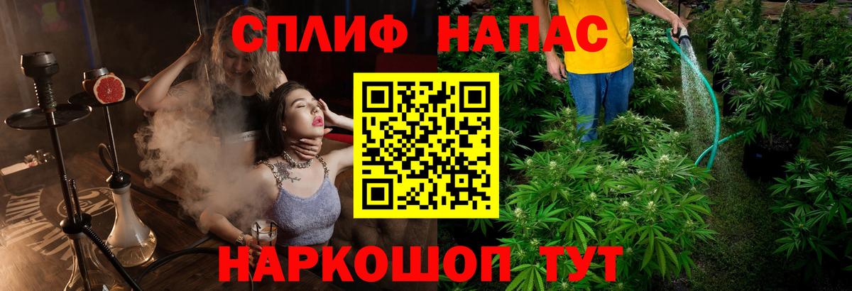 Конопля план Сызрань